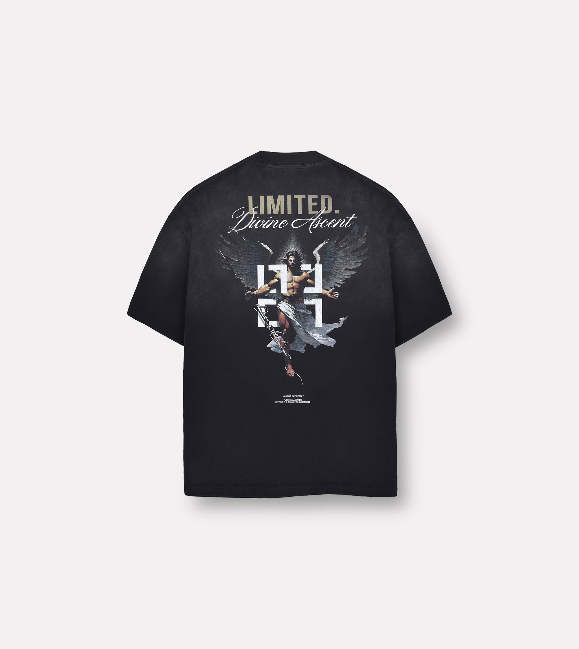 LIMITED. mens oversized back view Ascent graphic t-shirt in Stained Black with a coloured distressed Ascent graphic to the back.